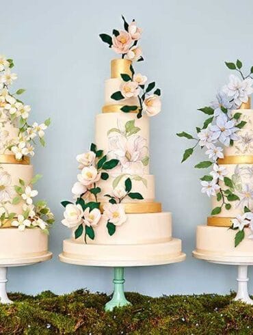 The Botanical Collection By Rosalind Miller