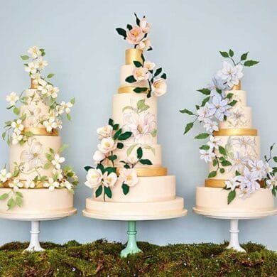 The Botanical Collection By Rosalind Miller