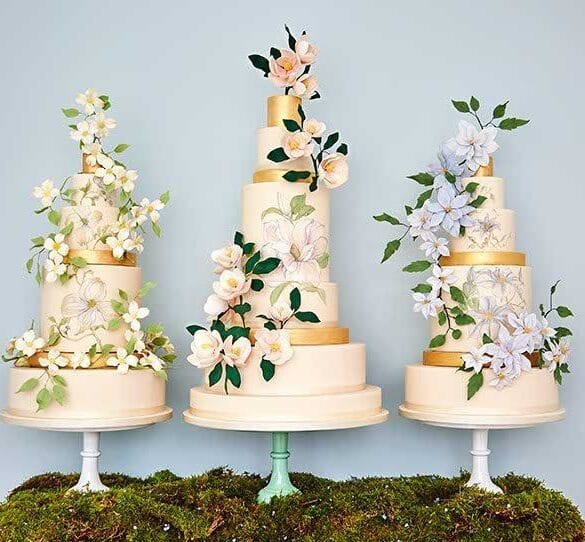 The Botanical Collection By Rosalind Miller