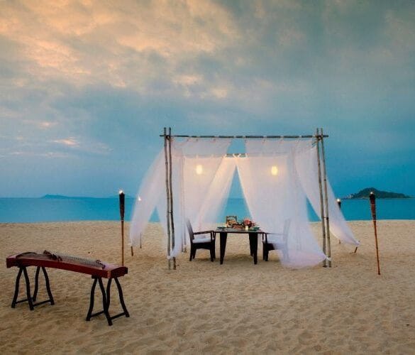 5 Star Wedding Directory’s 2015 Highlights! | January to June
