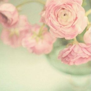 Themed Wedding Flowers and Gift Ideas