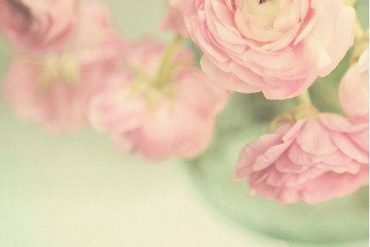 Themed Wedding Flowers and Gift Ideas