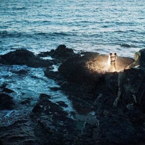Member Spotlight: Daniele Vertelli Photographer