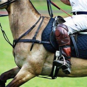 Fancy a game of polo for your hen or stag weekend?