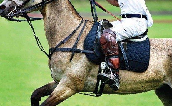 Fancy a game of polo for your hen or stag weekend?