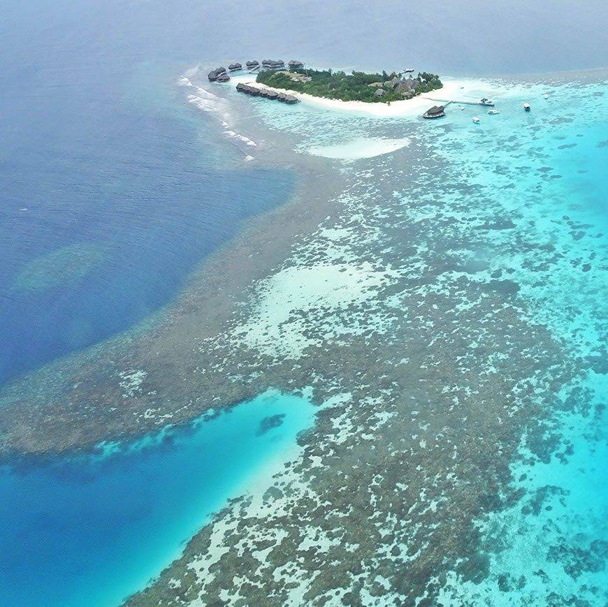 Mirihi Island Resort Maldives Mirihi Island Resort Maldives