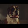 John Lewis Christmas Advert 2016 – #BusterTheBoxer