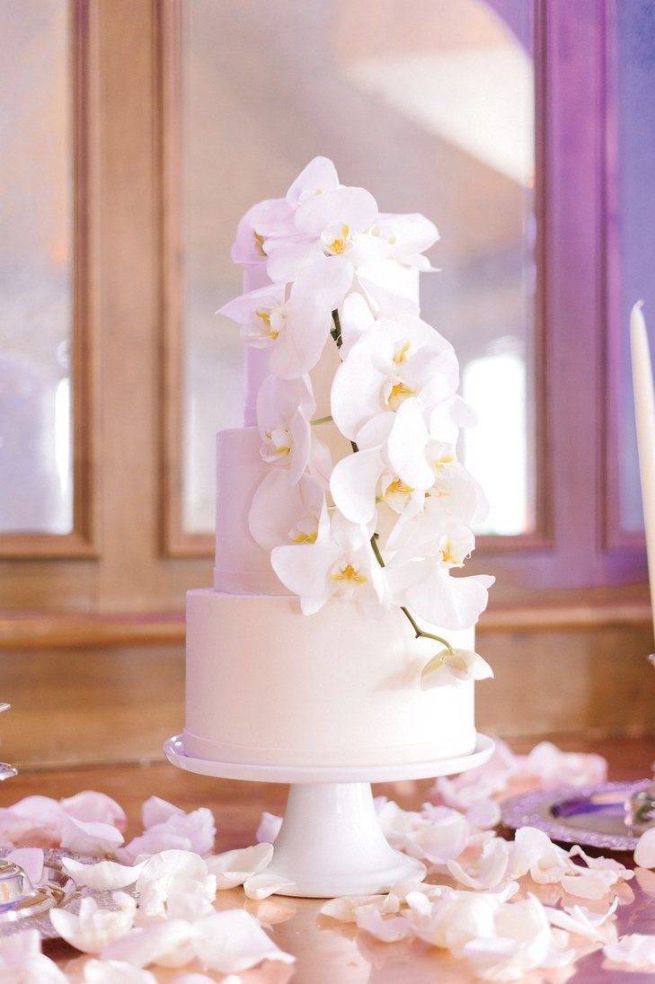 james christianson 3 Simple decoration adds interest to a clean, pure white iced cake. Photo: James Christianson