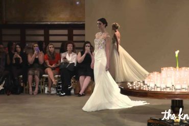 Introducing GALA from Galia Lahav