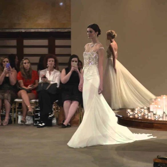 Introducing GALA from Galia Lahav