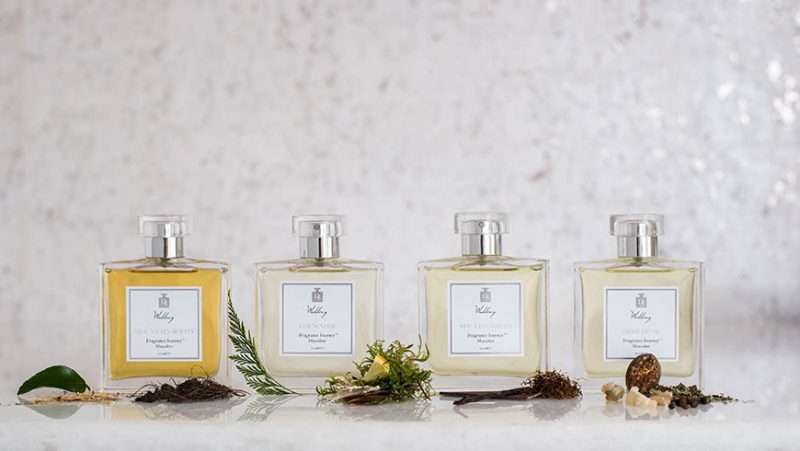 Design In Scent