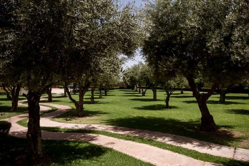 Le Palais Paysan Court Yard: @lovexposedphotography.com A short and very sweet stay in Marrakesh