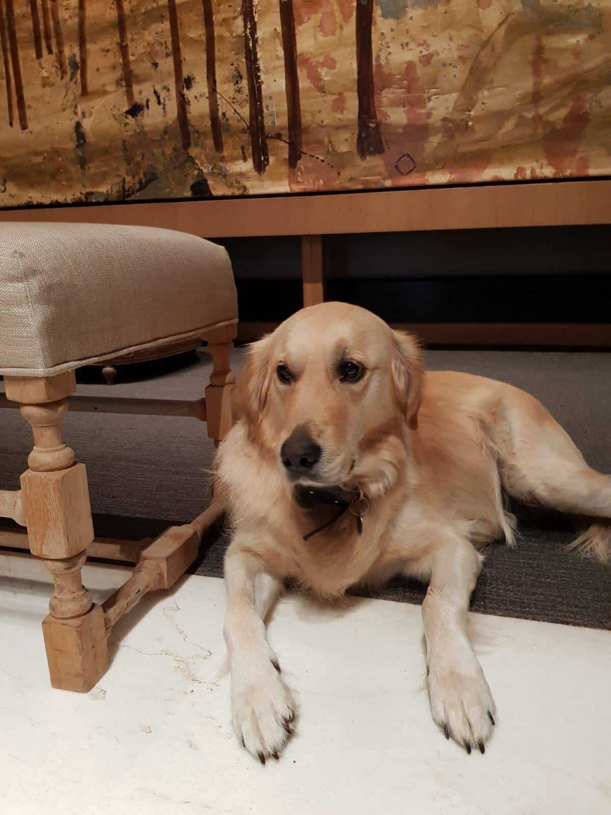Review: Rosewood London Review: Rosewood London