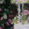 Botanical Bliss with Tees Bakery