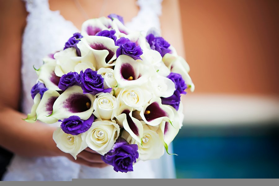 Violet Vows