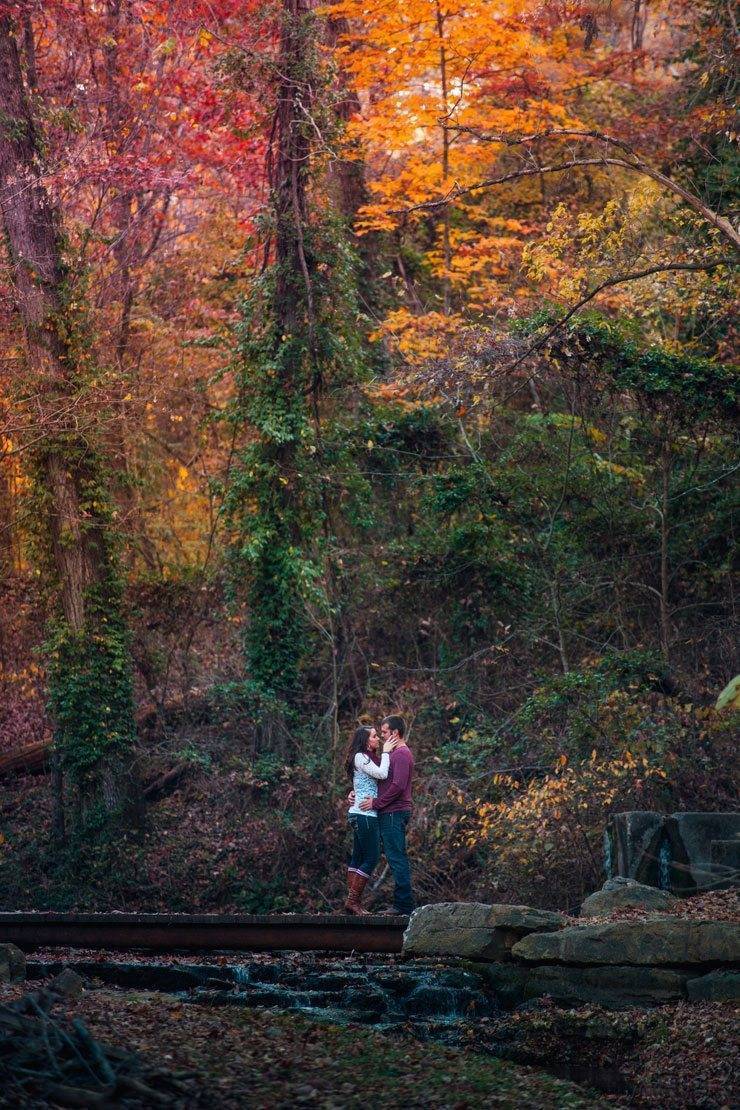 Autumnal Engagement Shoots Autumnal Engagement Shoots