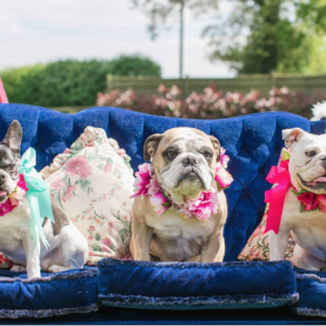 Top Spring 2018 Wedding Trends