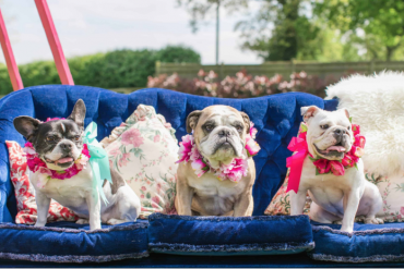 Top Spring 2018 Wedding Trends