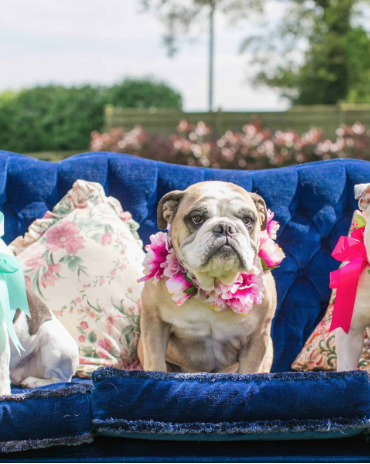 Top Spring 2018 Wedding Trends