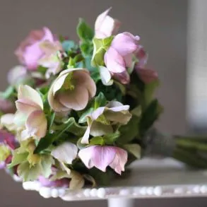 Sumptuous Spring Flowers