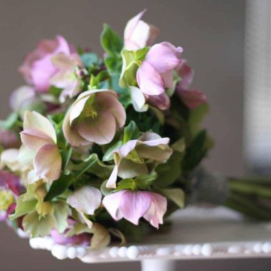 Sumptuous Spring Flowers
