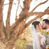Real Wedding California: Sunshine and sunflowers