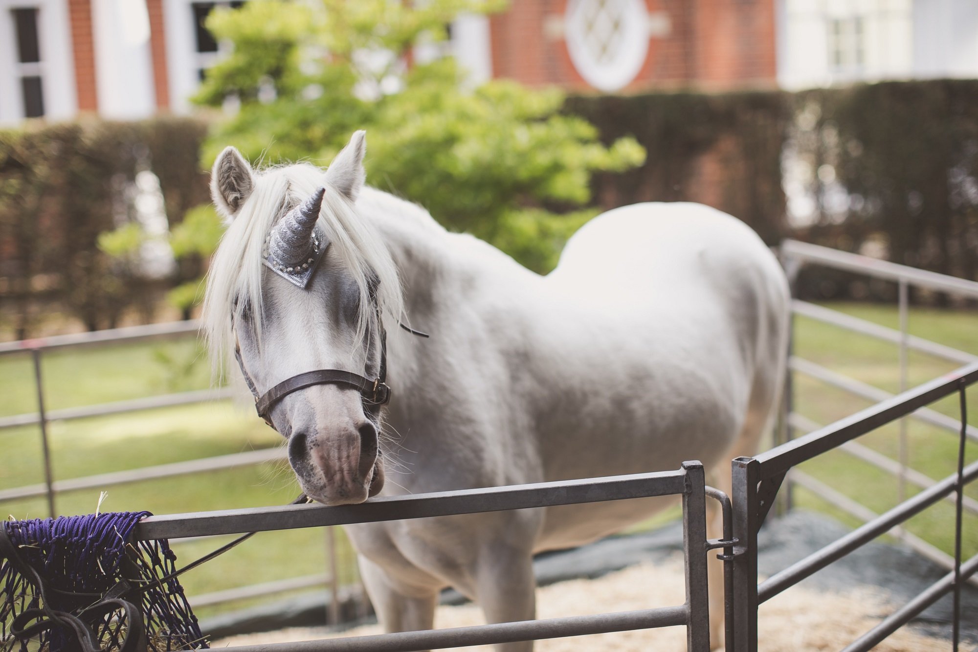 A magical evening at Hunton Park Hotel's secret garden party