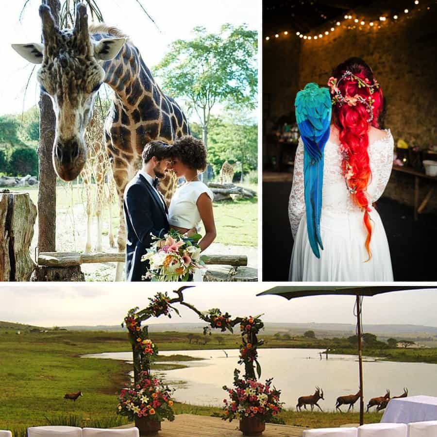 Pet pals: Animals at weddings Pet pals: Animals at weddings