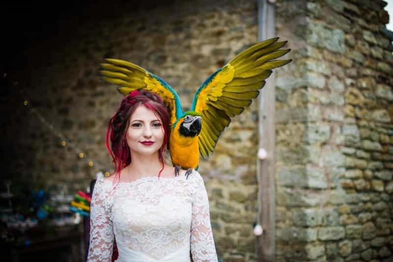 Pet pals: Animals at weddings Pet pals: Animals at weddings