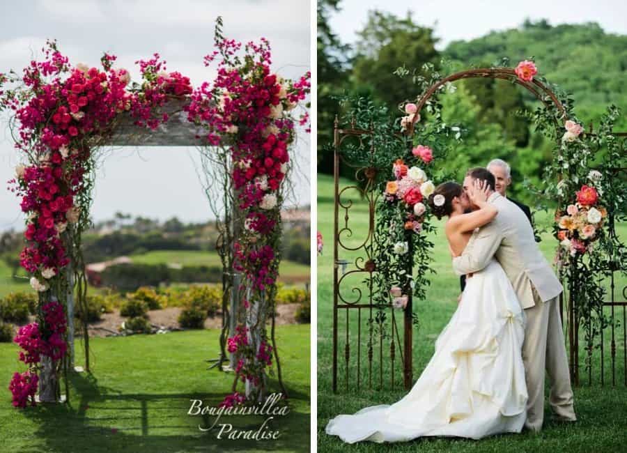 Summer blooms Summer blooms