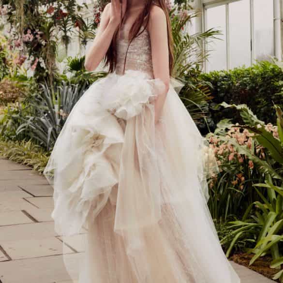 Our 5 Star 2019 highlights