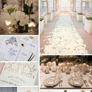 Colour palette: Pure white