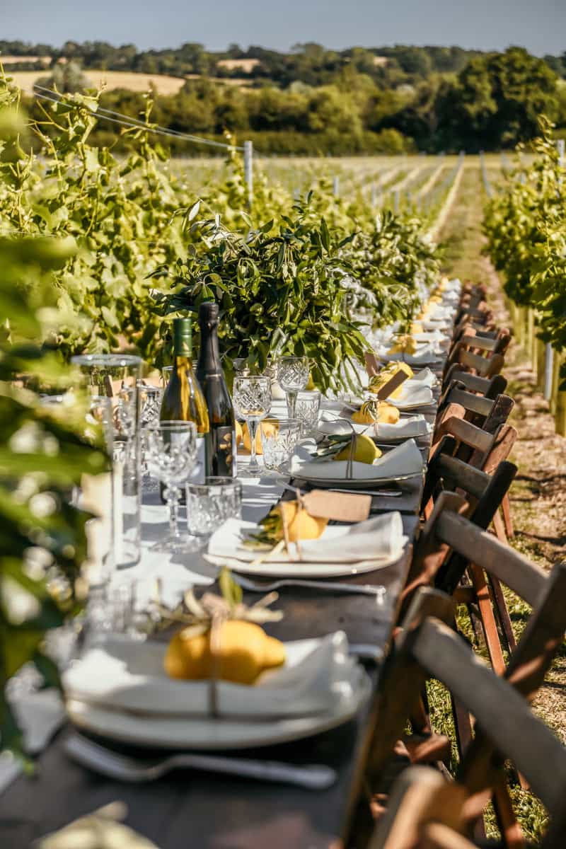 How To Style A Vineyard Wedding How To Style A Vineyard Wedding