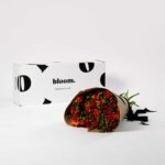 Fabulous Flowers by Bloom