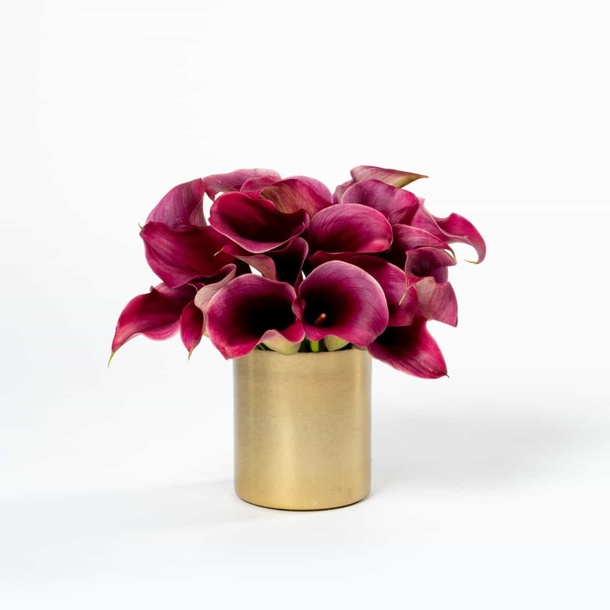 Fabulous Flowers by Bloom