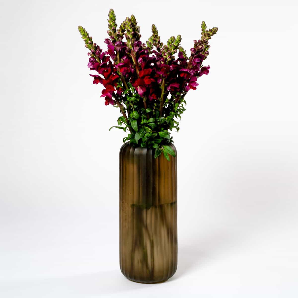 Fabulous Flowers by Bloom