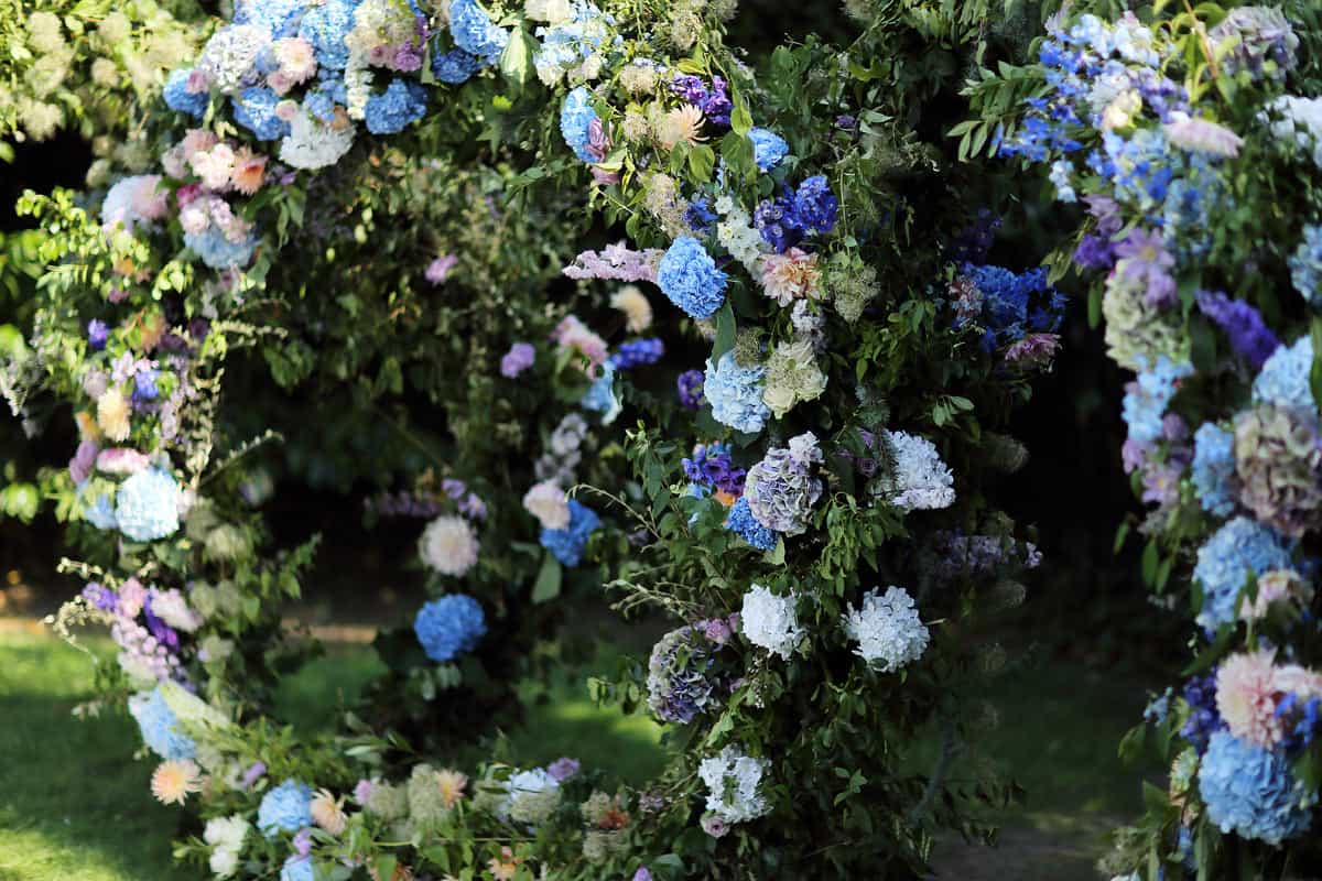 A Midsummer Nights Wedding
