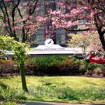 Review: Hyatt Regency London – The Churchill