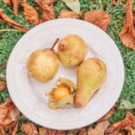 Autumnal Wedding Inspiration