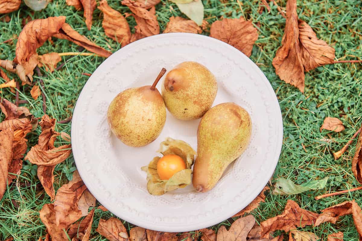 Autumnal Wedding Inspiration