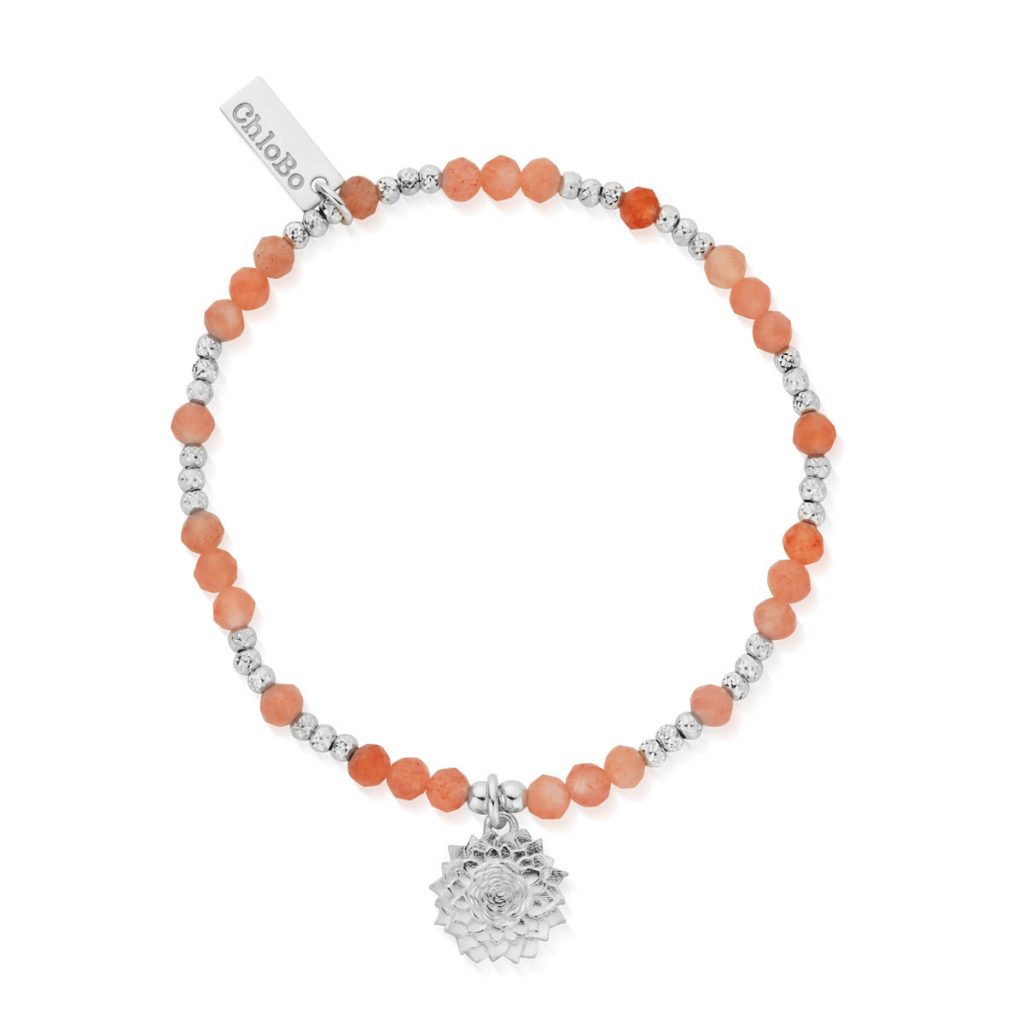The Sun Catcher‘ Collection