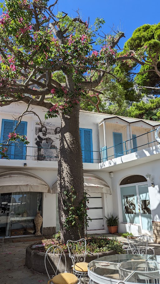Our 5 Star Trip To Naples And Capri