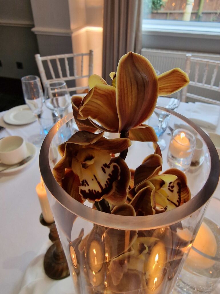 Review: Balmer Lawn Hotel