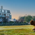 Review: Balmer Lawn Hotel