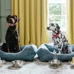 Hotel Review: Four Seasons Hotel Hampshire