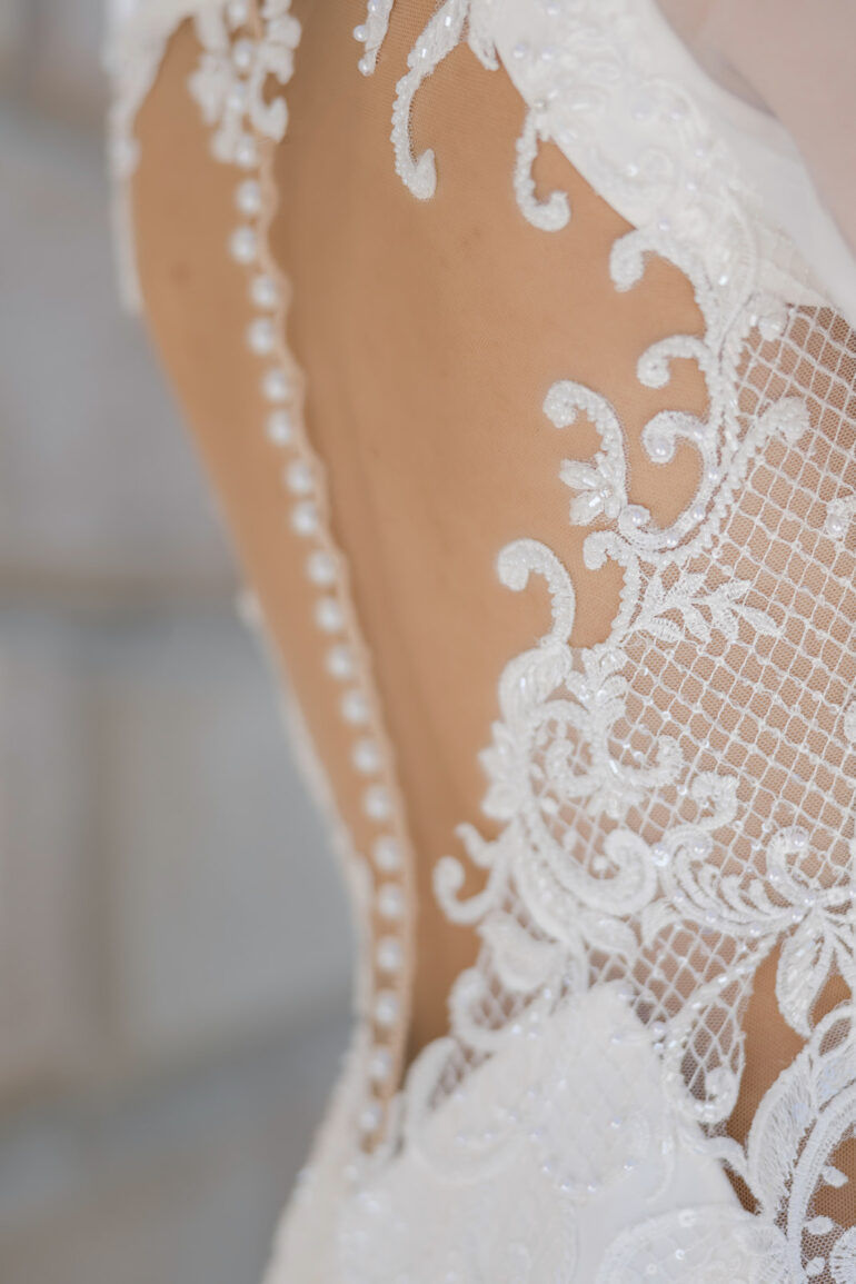 The Debut Collection By Josephine Scott