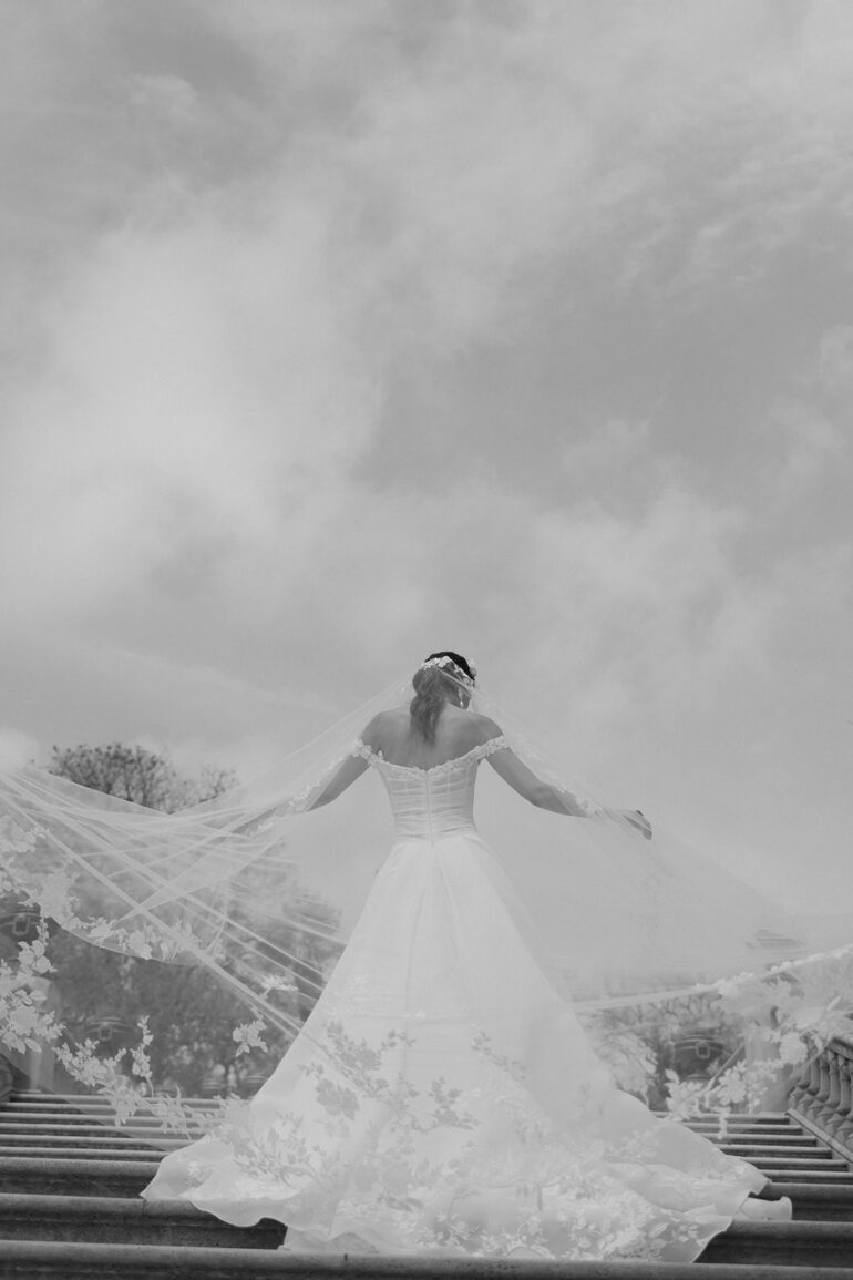 The Debut Collection By Josephine Scott