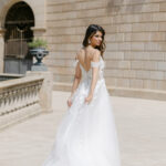 The Debut Collection By Josephine Scott
