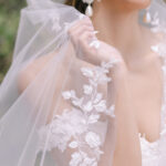 The Debut Collection By Josephine Scott