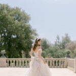 The Debut Collection By Josephine Scott